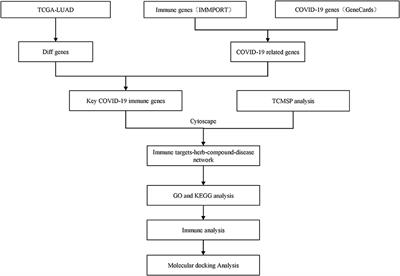 The Potential Bioactive Components of Nine TCM Prescriptions Against COVID-19 in Lung Cancer Were Explored Based on Network Pharmacology and Molecular Docking